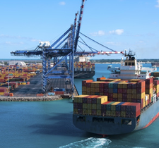 sf seguro de transportes